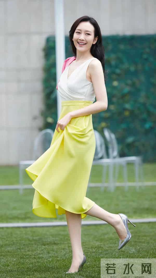 樊胜美男人出轨琅琊榜长公主