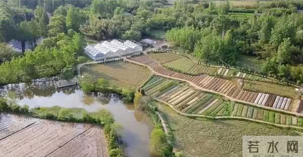 女子种地老公辞职支持