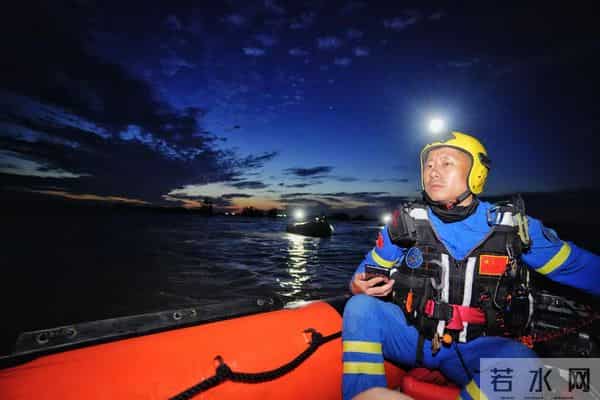 洞庭湖决堤后动物们水中求生