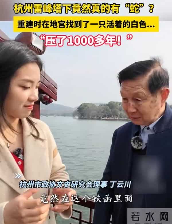 雷峰塔下真有压了千年的白色虫子