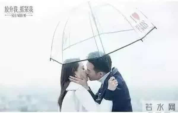 樊胜美男人出轨琅琊榜长公主