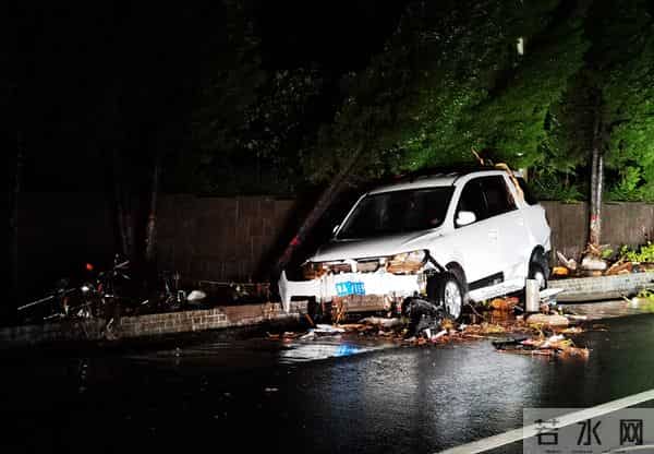实拍河南暴雨-急流冲垮大桥