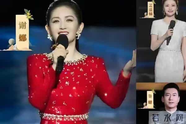 谢娜唱《她她她》引争议