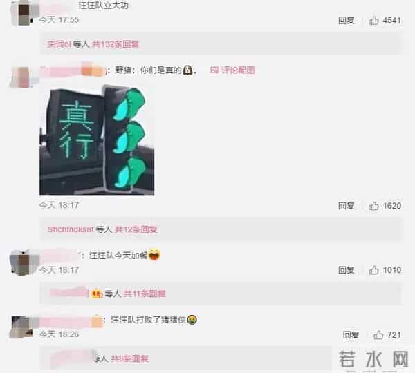 野猪大闹驾校被5只狗打败