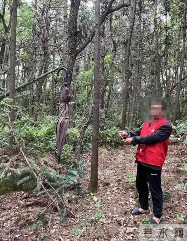 警方在男子家中搜出61只野生鸟类