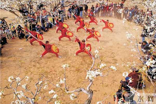女子赏花站梨树枝头甩衣狂摇