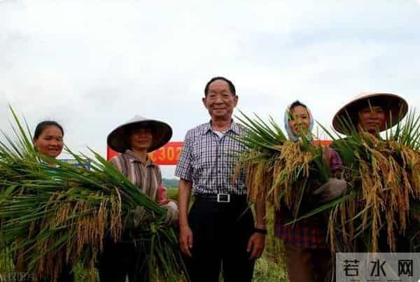 袁隆平去世辟谣