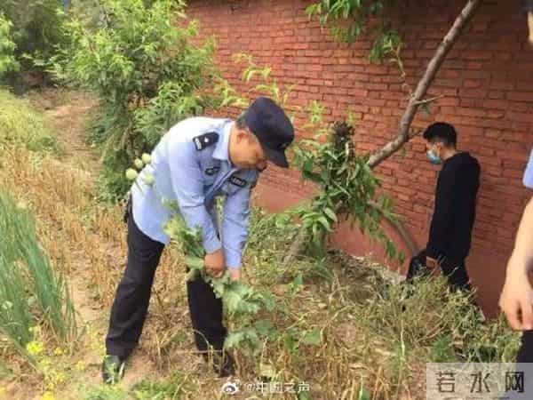 吃凉皮上瘾查出罂粟