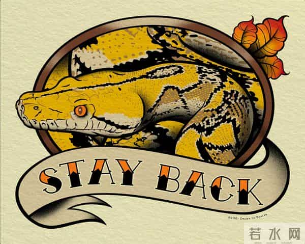 深圳工地现50斤蟒蛇