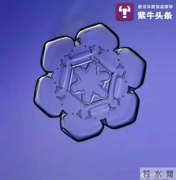 北京的雪 显微镜100倍拍摄
