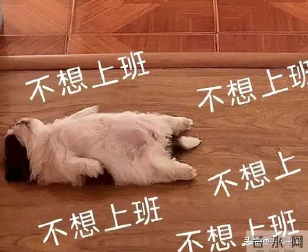 吉尼斯纪录将周一认证为最糟的一天