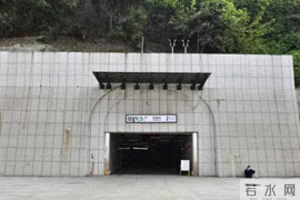 重庆女子上班坐14次扶梯获公司补贴