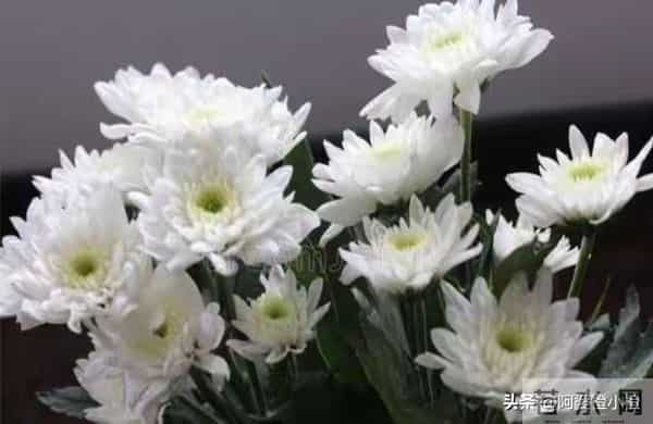 悲痛到抽搐男子妻子已离世