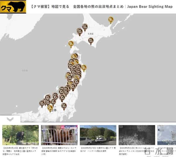 日本街头熊出没