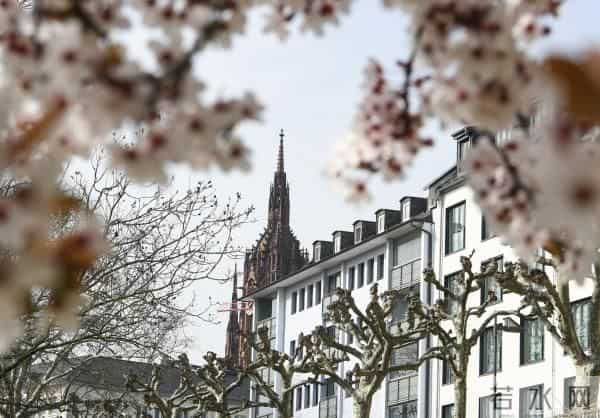 乌攒大量代孕新生儿