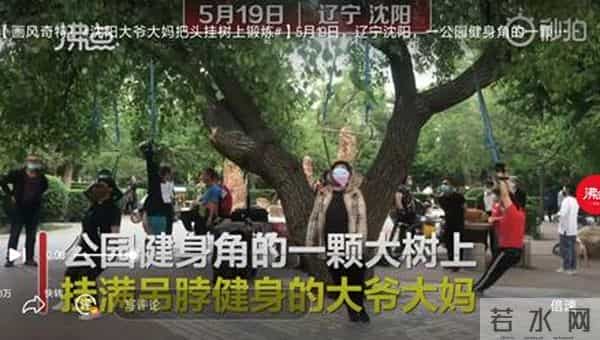 沈阳大爷大妈把头挂树上锻炼