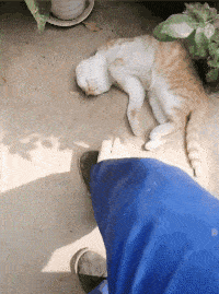 大妈跳广场舞把孩子栓栏杆上