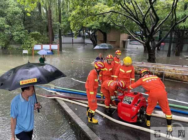 佛山动物园辟谣暴雨致动物出逃