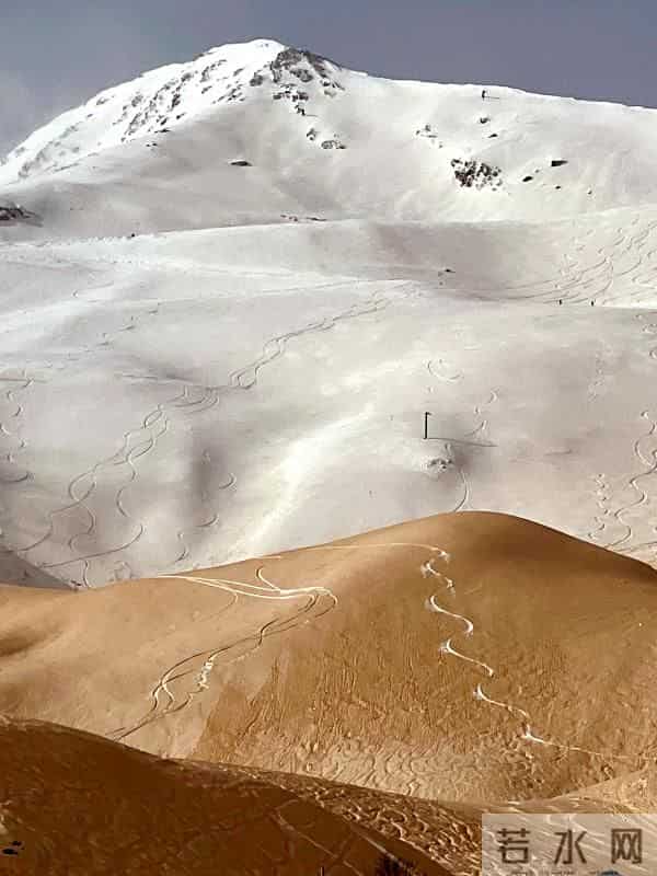 乌攒大量代孕新生儿