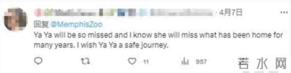 大熊猫丫丫回国进入倒计时