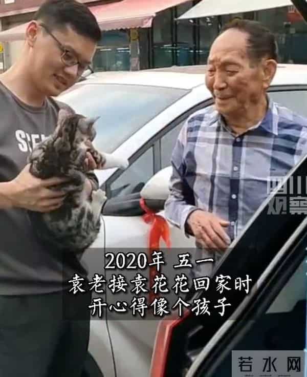 袁花花再也无法陪袁隆平听汇报了