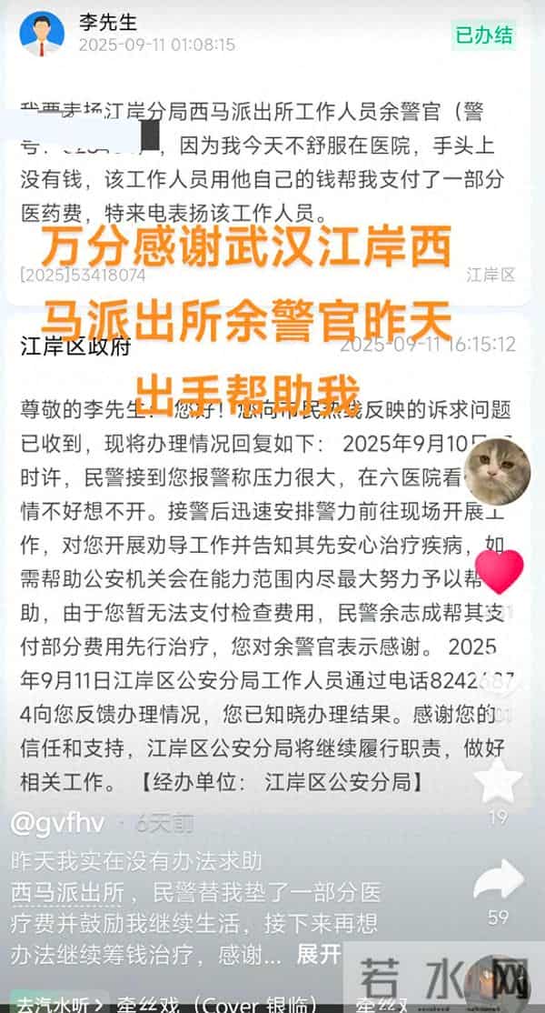 山西洪灾幸存的猪坚强被扑杀