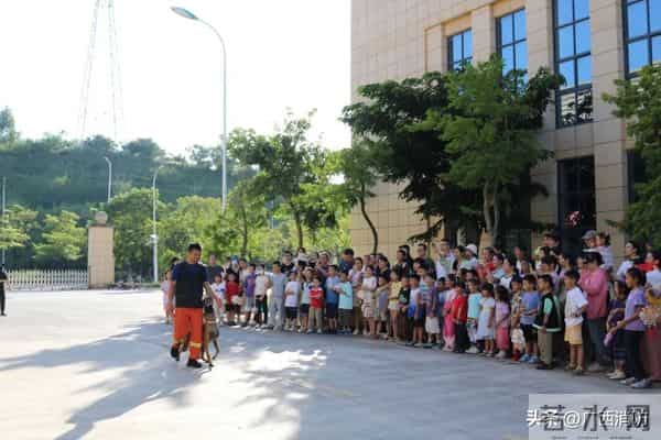 广西消防驻地满是鲜花