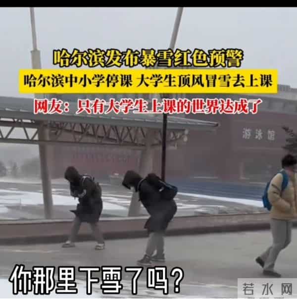 东北暴雪天出门堪比取经