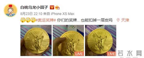 朱雪莹的金牌捐了