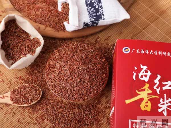 袁隆平念念不忘的海水稻新米要上市