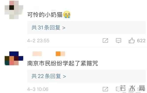 南京人看到泼猴请立即报告