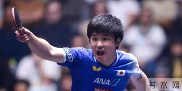 张本智和紧急撤回一个口误