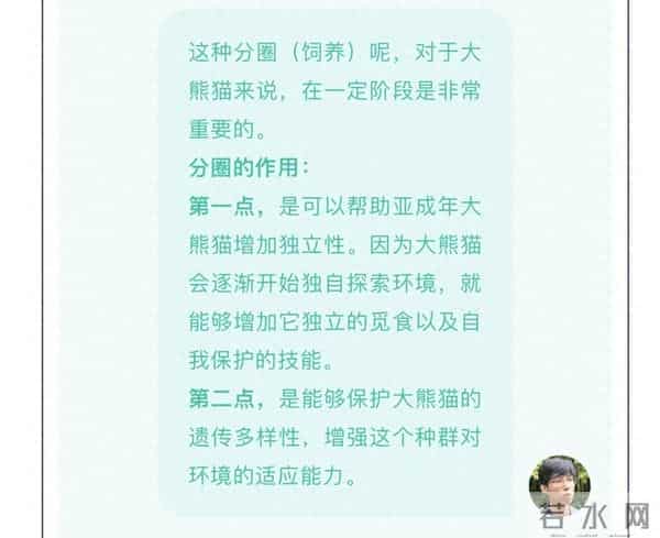 成都顶流大熊猫姐妹花宣布单飞