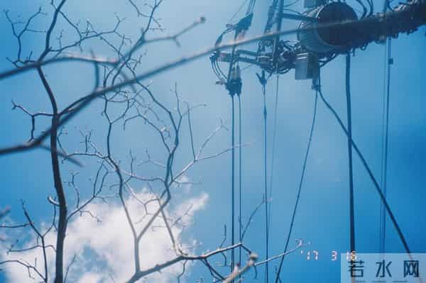 学者-没躺平的企业家是经济的希望