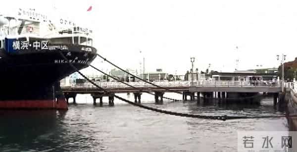 日本近海出现密密麻麻鱼类尸体