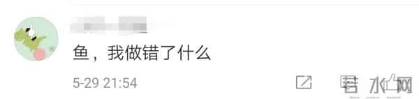 高三学生抓鱼解压