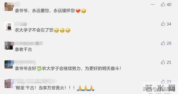 湖南农大发文悼念名誉校长袁隆平