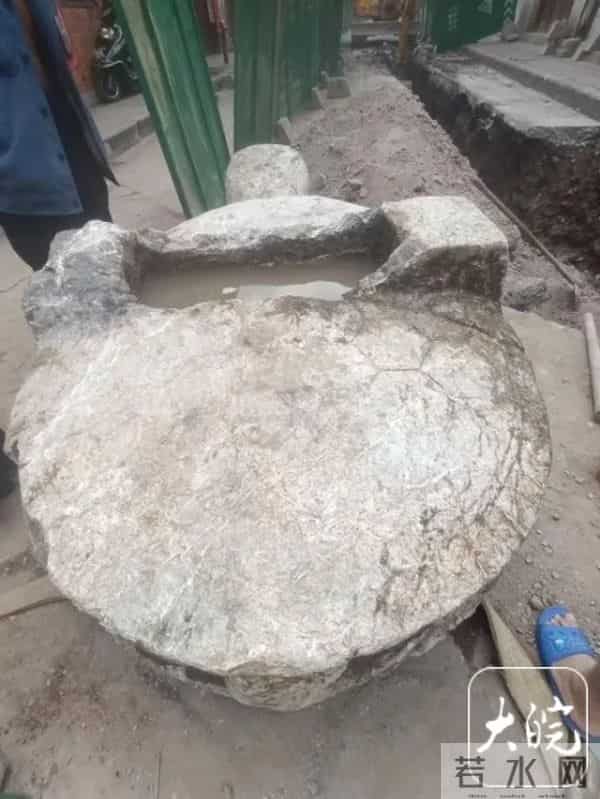 湖南一施工路段挖出超三千斤石龟