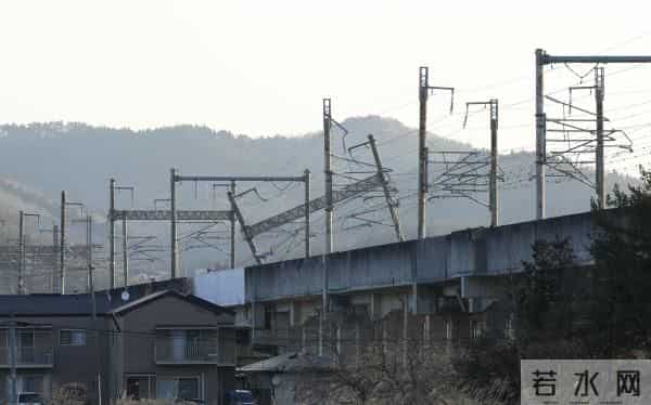 乌攒大量代孕新生儿