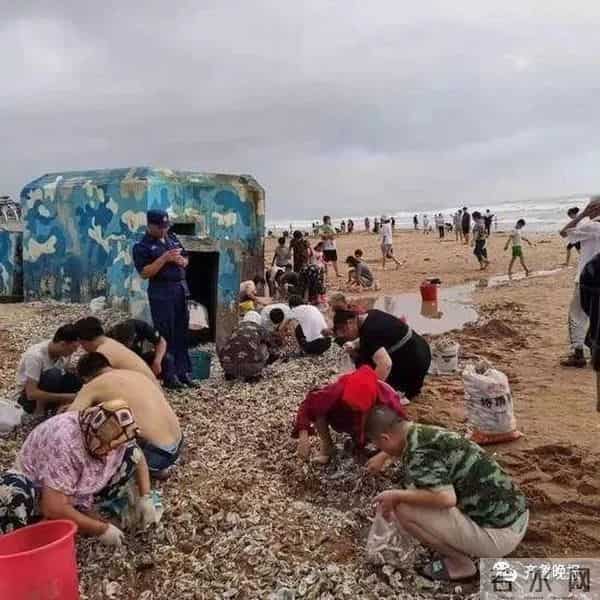 台风过后青岛海滩上尽是海鲜