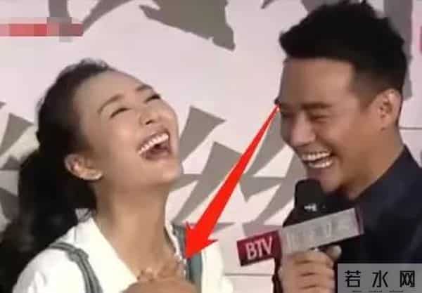 樊胜美男人出轨琅琊榜长公主