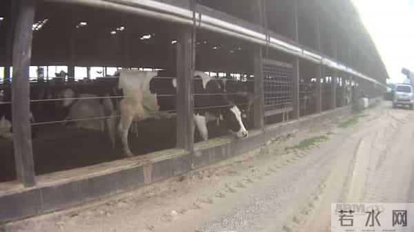 乌国内抵制可口可乐