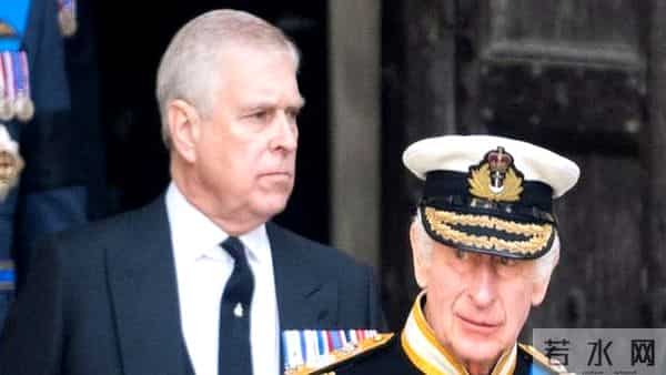 钢笔水漏手上 英国国王不高兴了