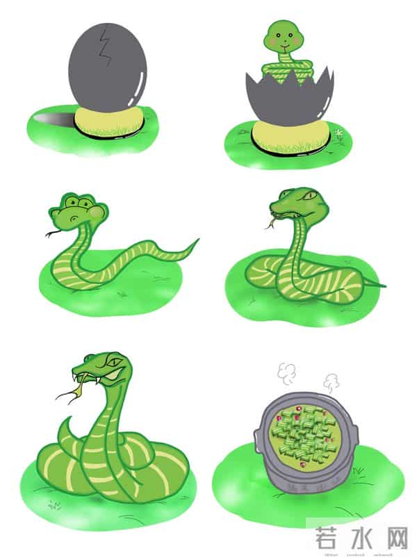 8条傻蛇集体社死偷鸡不成全被困