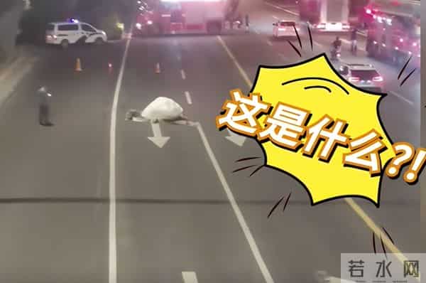 洛阳不明物体将地面砸出坑-消防回应