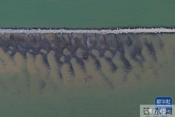 四川乐山大佛脚下河床裸露