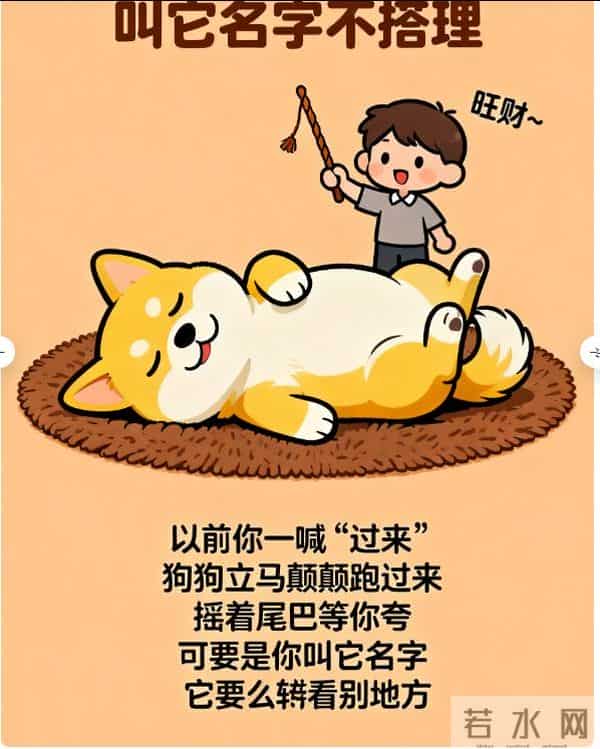 3斤小狗舔5斤大鱼被鱼尾抽翻