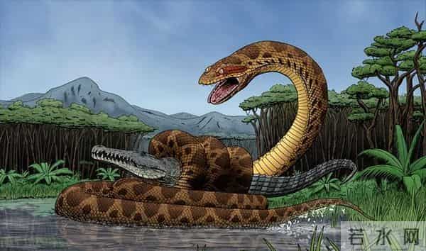 深圳工地现50斤蟒蛇