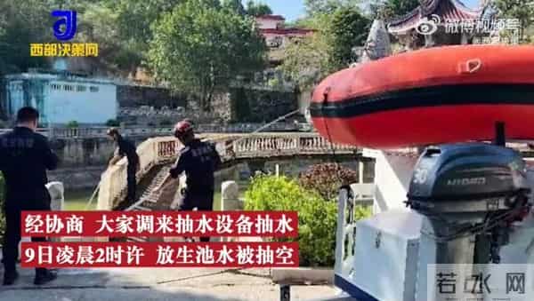 寺庙放生池现1.2米长鳄雀鳝