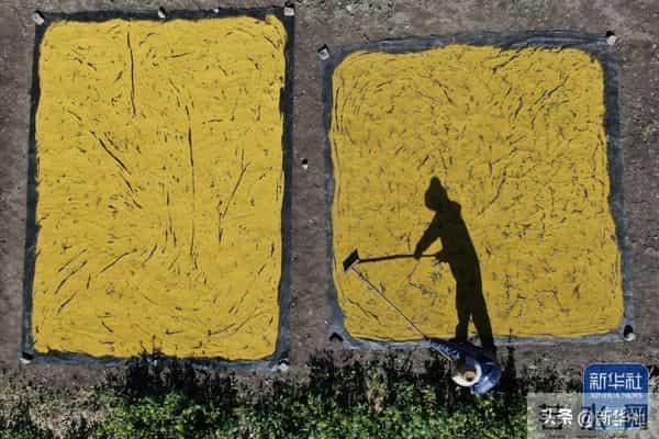 四川乐山大佛脚下河床裸露